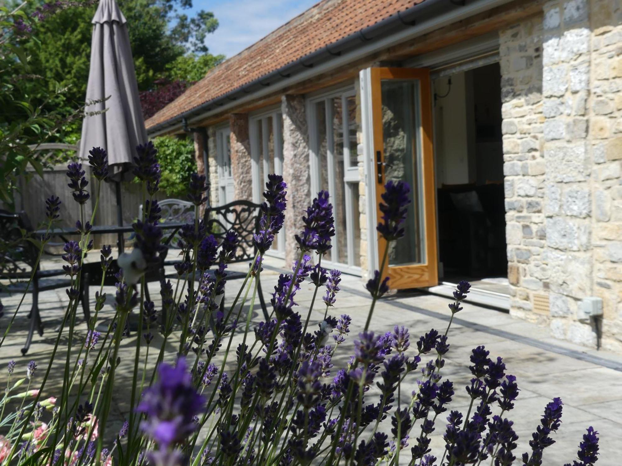 Pear Tree Cottages Wedmore Bilik gambar